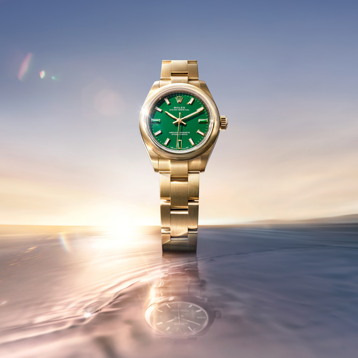 Rolex New Watches 2026 The Oyster Perpetual 28 M276208 0002 Portrait