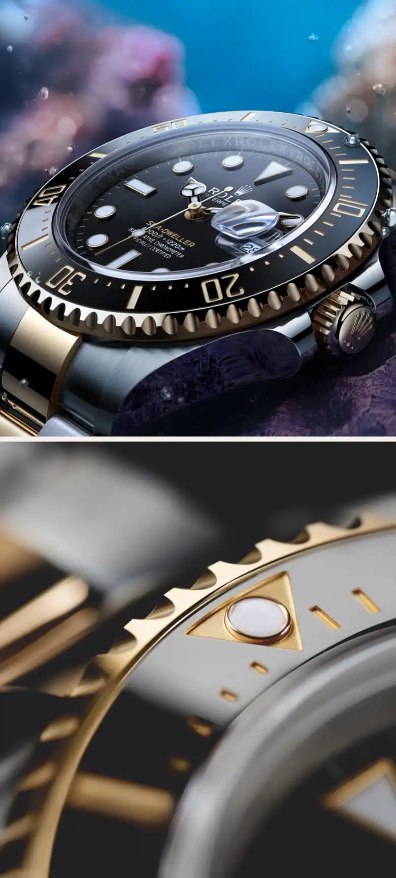 Rolex Sea Dweller Waterproofness M126603 0001 2210jva 0021 M126603 0001 1901ac 007 Portrait