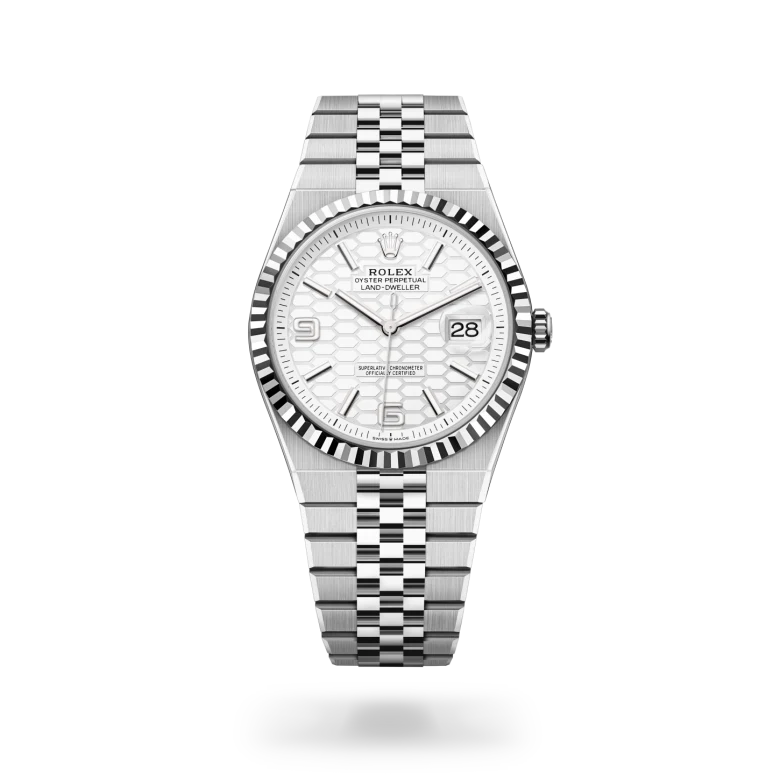 Rolex Land-Dweller Oyster, 40 mm, Oystersteel and white gold
