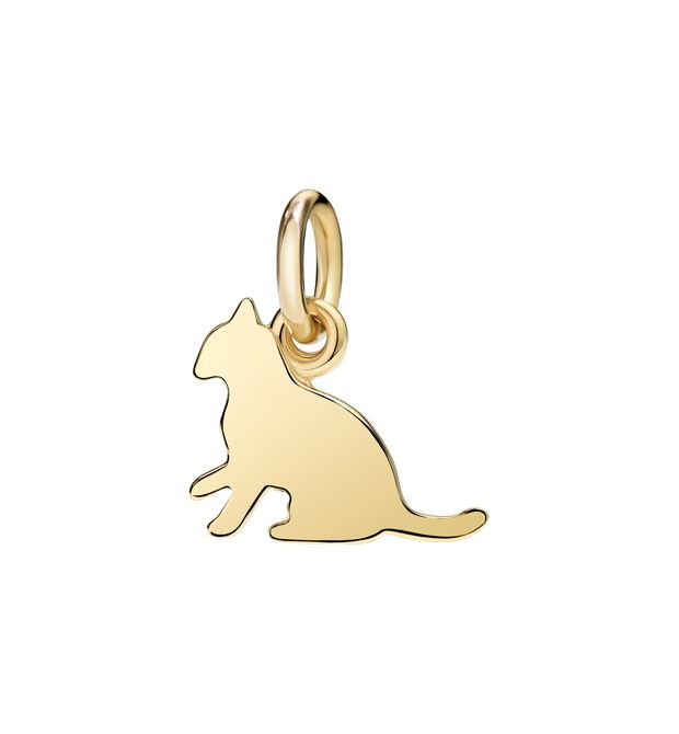 DODO POMELLATO GATTO
