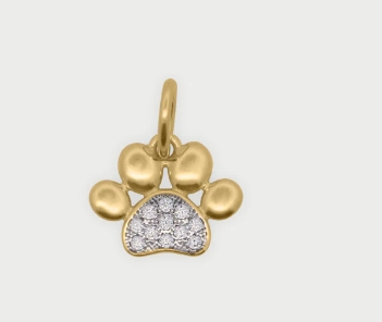 Immagine Charm zampetta