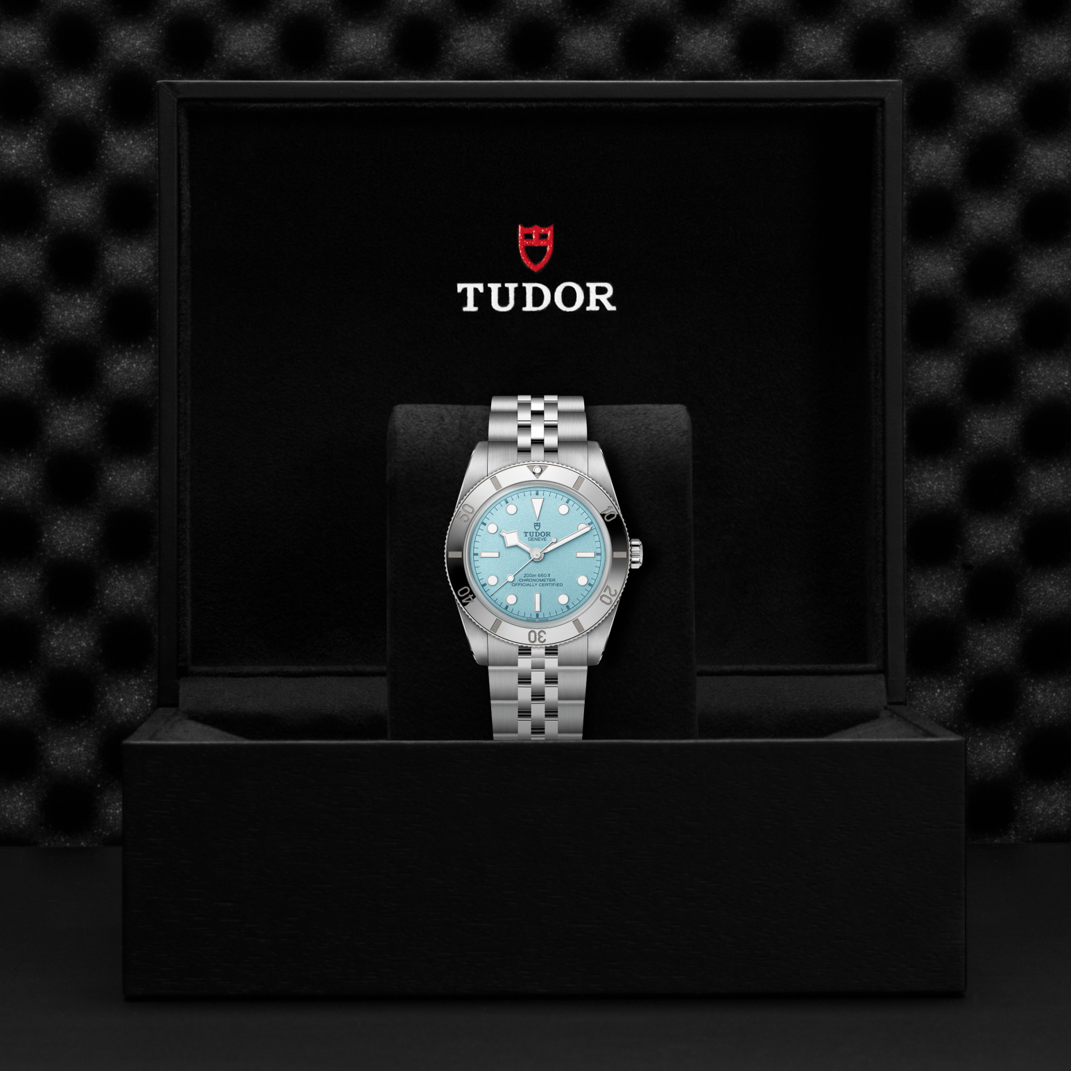 Tudor Black Bay